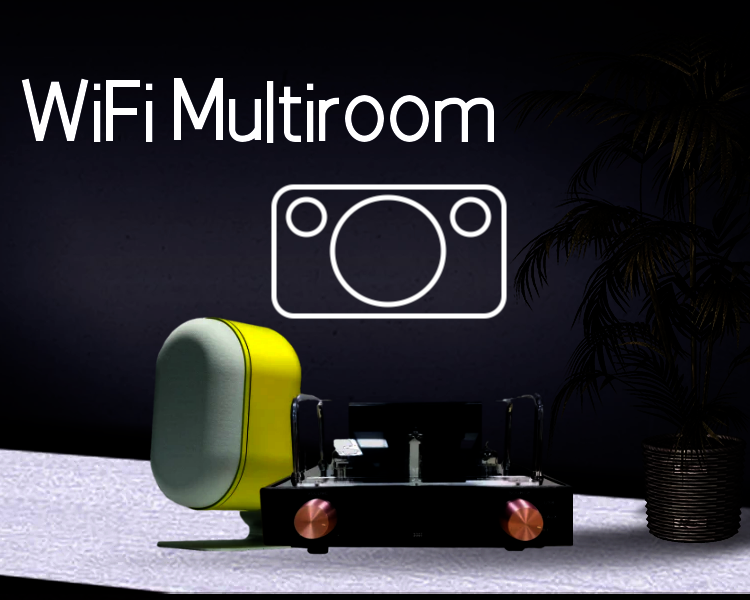 如何控制多域扬声器